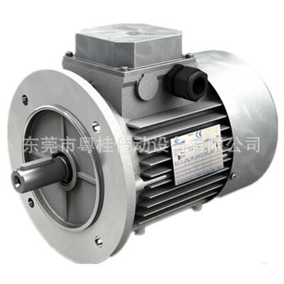 意大利MOTOVARIO电机 摩多利铝壳电机 摩多利刹车马达 T90B4B5