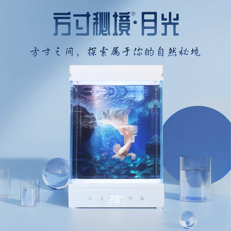 方寸秘境二代月光桌面鱼缸办公室客厅小型热带鱼缸微景观生态造景