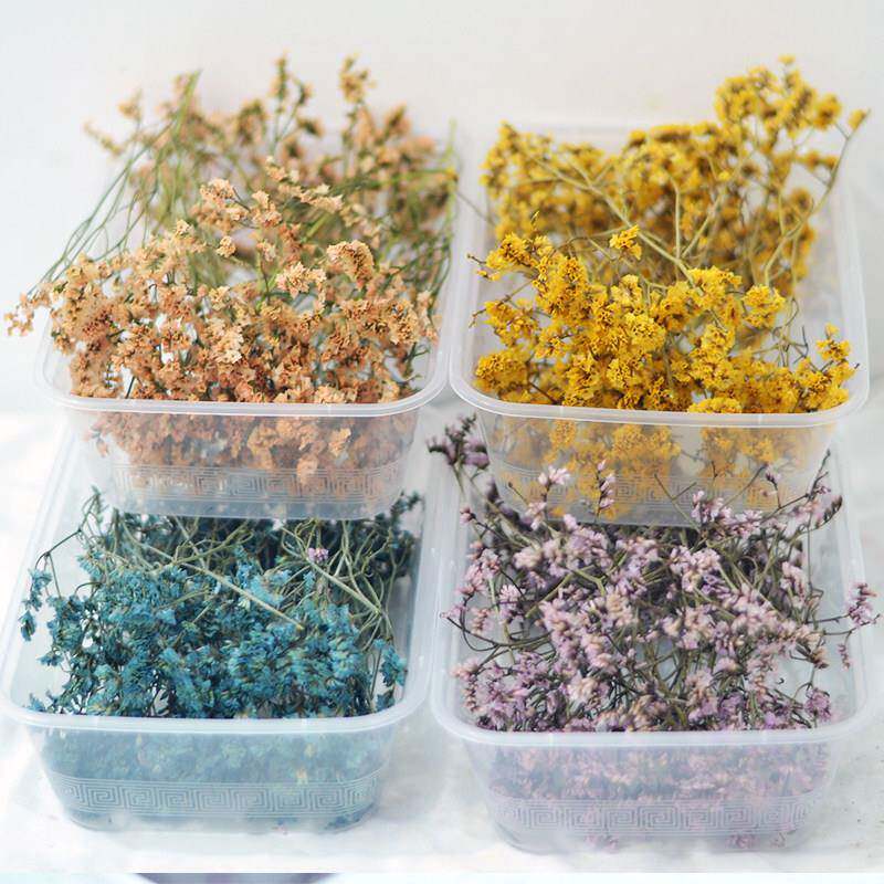 永生花玻璃罩干花装饰 立体干花包手工压花材料 桌面彷真花小枝条