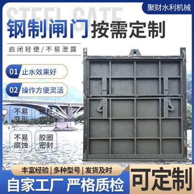 厂家供应钢制闸门水利工程渠道钢制闸门平面型水库止水闸门