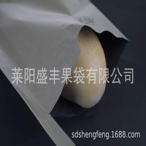 保护套盛丰枇杷芒果专用纸袋箱