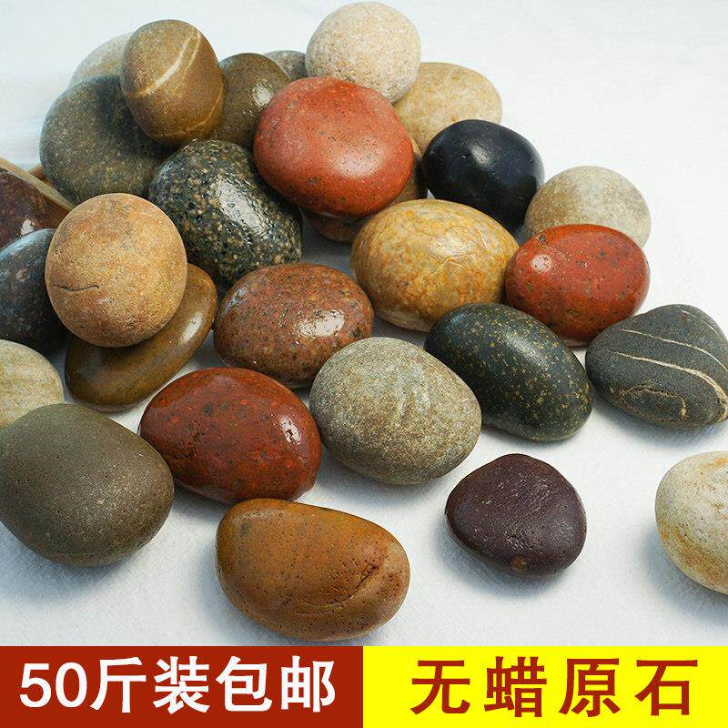 彩色原石鹅卵石铺地50斤庭院铺路造景大号头鱼缸装饰天然鹅软暖石