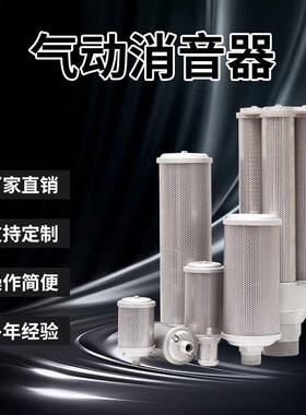 环海XY-20消音器|XY气动消声器 吸附干燥机气泵隔膜泵用 2寸 DN50