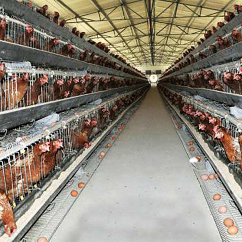 温室大棚上门安装农业畜牧鸡鸭牛羊养殖棚温室养殖防雨防冻搭建,农机/农具/农膜,温室大棚支架,淘宝优惠券,粉丝福利购,淘宝优惠卷