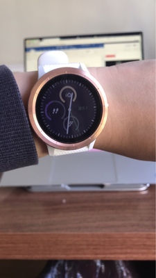 Re:ʹøܼvivoactive3fenix3ĸãvivoactive3fenix3 ..