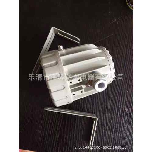 BAK51-20 系列隔爆型防爆视孔灯(IIC)