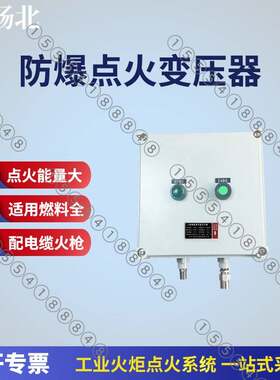 济南畅北工业火炬焚烧炉高能点火装置防爆控制箱点火控制系统