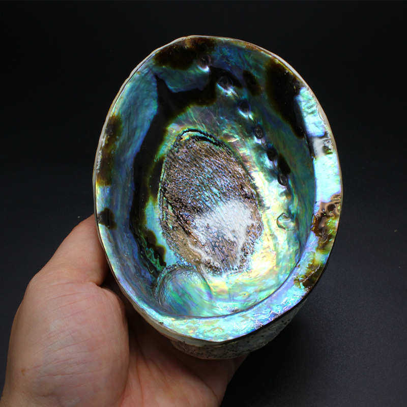 天然蓝色鲍鱼贝壳批发水族鱼缸创意造景地中海饰品鲍鱼贝壳礼品,宠物/宠物食品及用品,造景/装饰,淘宝优惠券,粉丝福利购,淘宝优惠卷