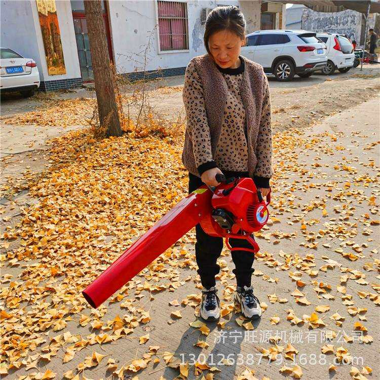 汽油背负式吹雪机 园林四冲程吹风机 多用地面除尘机