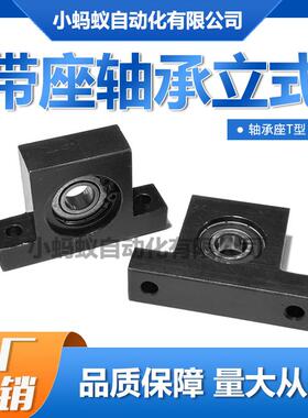 轴承座T型带座轴承立式BGHKB BGHKA6003 6903 6203ZZ-30 40 50