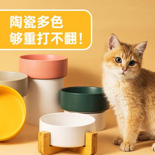 哑光陶瓷宠物碗 猫咪食盆防打翻 成猫幼猫喝水碗狗狗木架碗易清洗