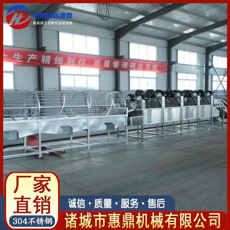 供应全自动核桃水果分选机3-6级分选水果大小明确厂家供应