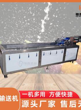 预制配菜设备大型气泡臭氧清洗机全输送连续式洗菜机江门洗果机