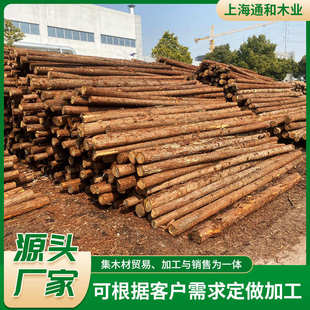 落叶松原木桩户外河道护岸实木打桩木园林绿化杉木植树杆杉木木桩