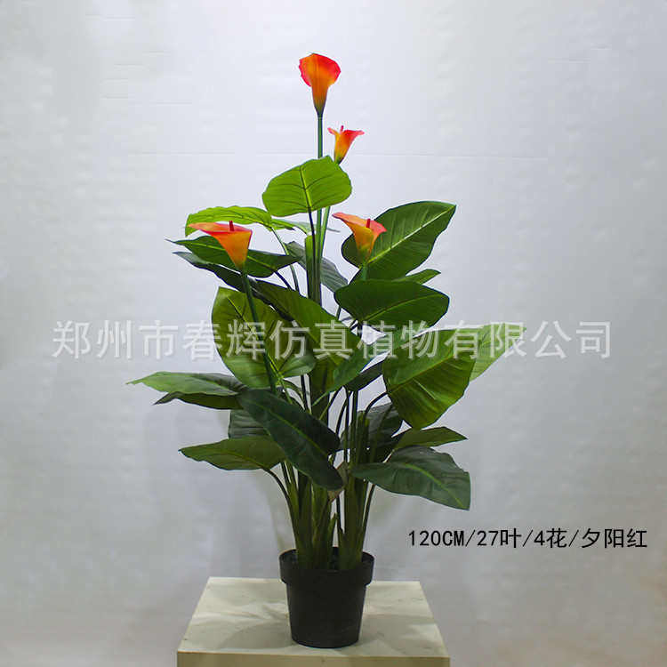厂家直供仿真马蹄莲盆栽仿真马蹄莲树假马蹄莲定 制玫红色马蹄莲