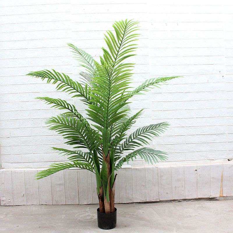 绿植植物布景落地假散尾葵葵树葵大叶北欧装饰仿真凤尾竹直播间