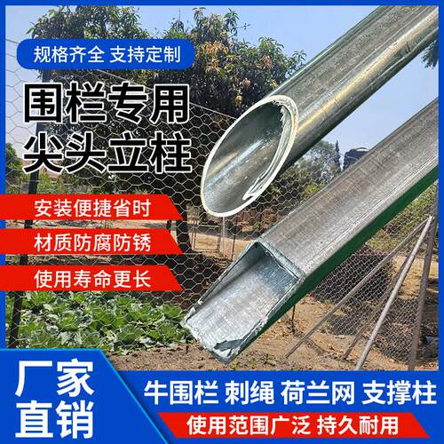尖头地桩围栏立柱杆2*2镀锌钢管圆管25*25方管1寸支撑杆爬藤架6分