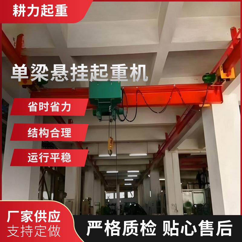 双葫芦单梁悬挂起重机变频单梁悬挂起重机车间室内悬挂起重机