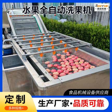 商用李子清洗机芒果洗果机青梅气泡毛辊清洗一体机桃子毛刷清洗机