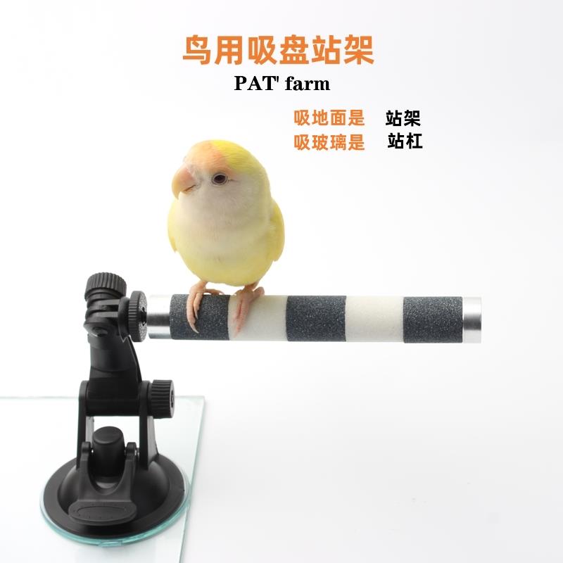 不锈钢鹦鹉磨爪棒墙面玻璃吸盘站杆鸟用磨爪站杠磨指甲磨嘴磨砂棍