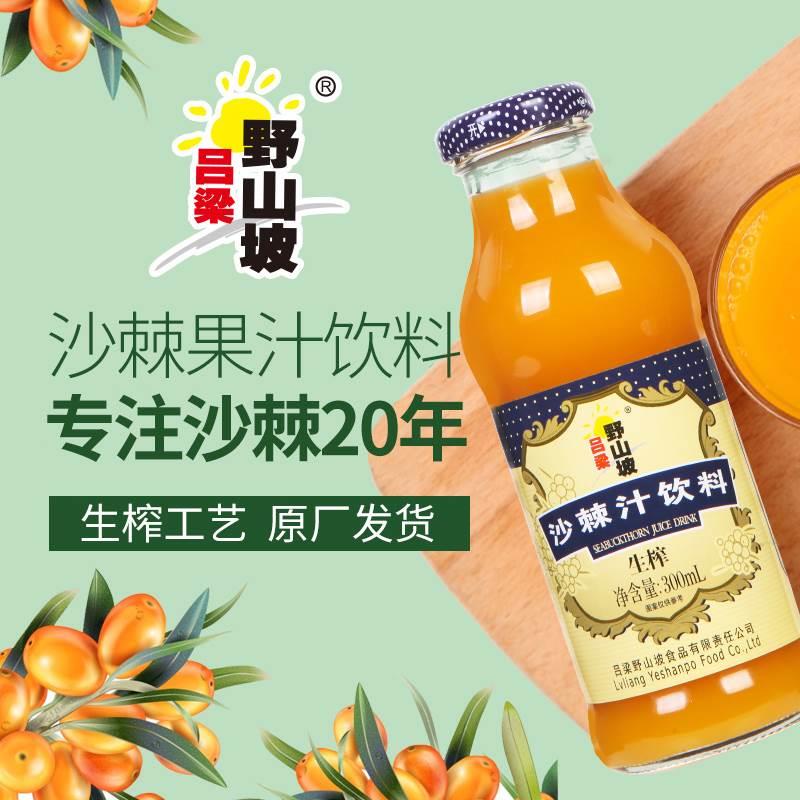 吕梁野山坡沙棘汁新鲜生榨饮料营养果蔬网红饮品00ml大容量装