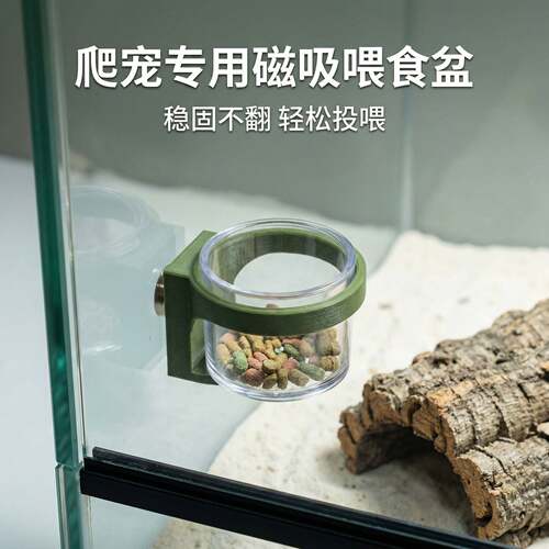 爬宠磁吸喂食盆睫角守宫蜥蜴磁吸悬饲养箱爬宠缸专用喂食器