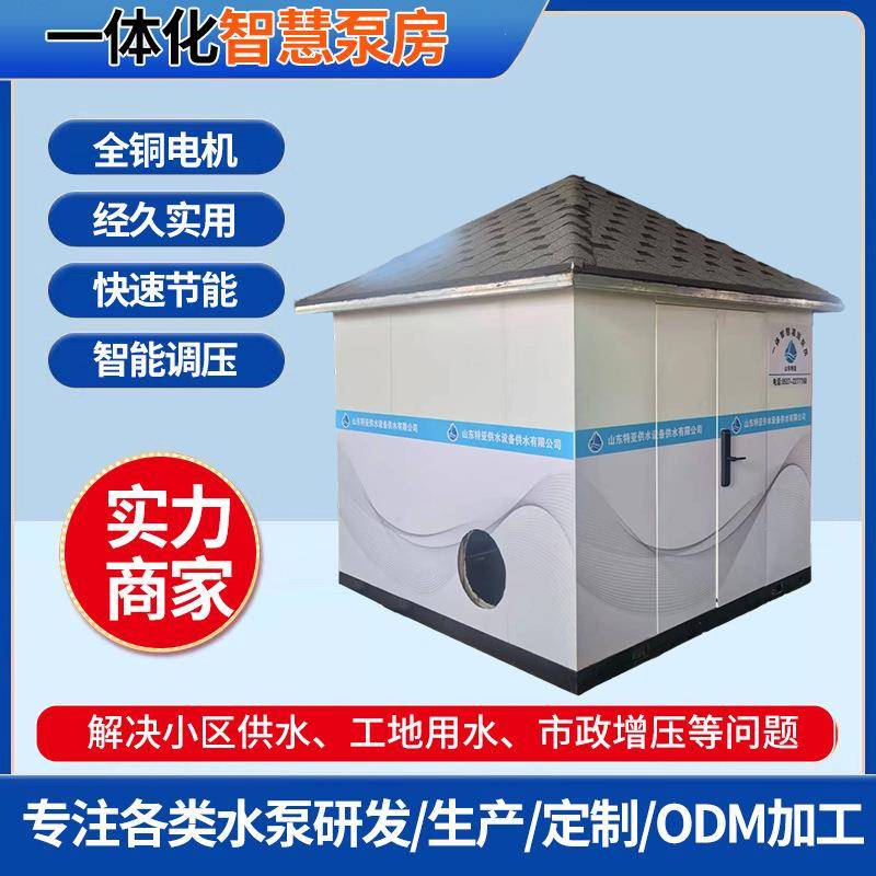 源头厂家工地排水给水一体化智慧泵房集成式水泵二次供水农林灌溉