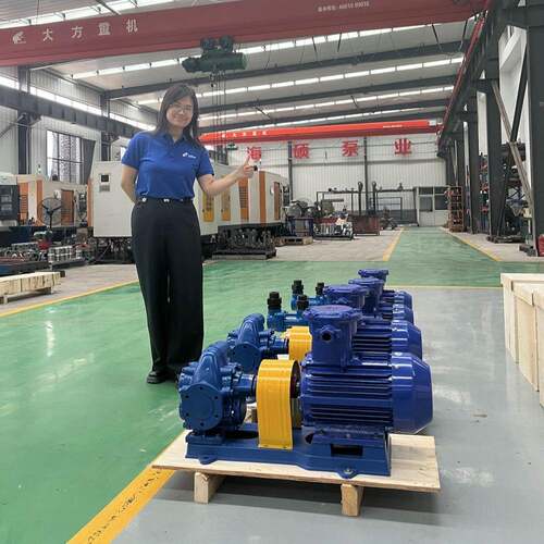 齿轮油泵不锈钢KCB齿轮泵现货大流量卧式柴油汽油电动齿轮油泵