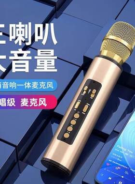 麦克风音响话筒一体无线蓝牙手机挂绳声卡K5麦霸户外家用K歌全民K