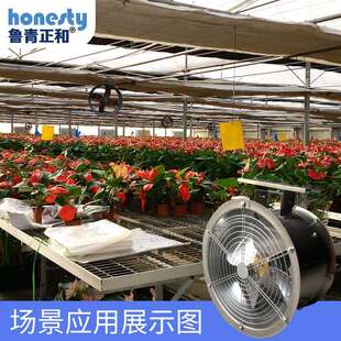 正500型180风w环流机厂屋顶风机抽PTT风机工和排风扇通风设备