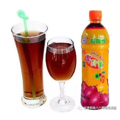 甘肃特产 啤特果汁 和政88啤特果 松鸣岩牌饮料一箱15瓶整箱 包邮