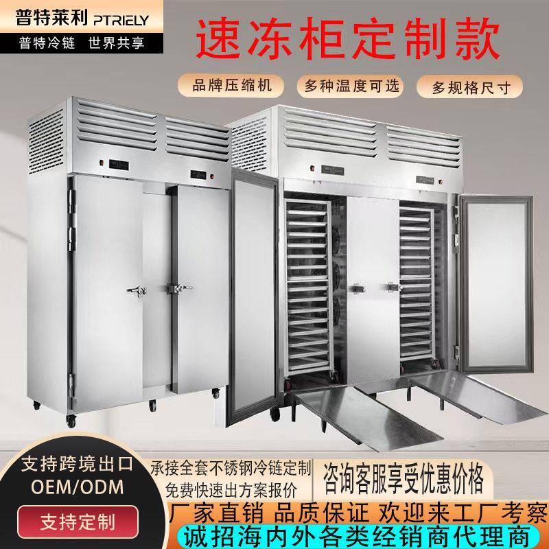 零下60度速冻柜零下45度小型商用急冻-40度风冷速冻冰柜-80°C