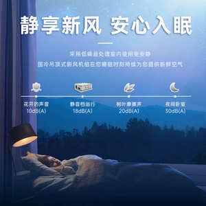 皓净大风量全热交换新风系统吊顶式新风换气机热交换新风系统机组