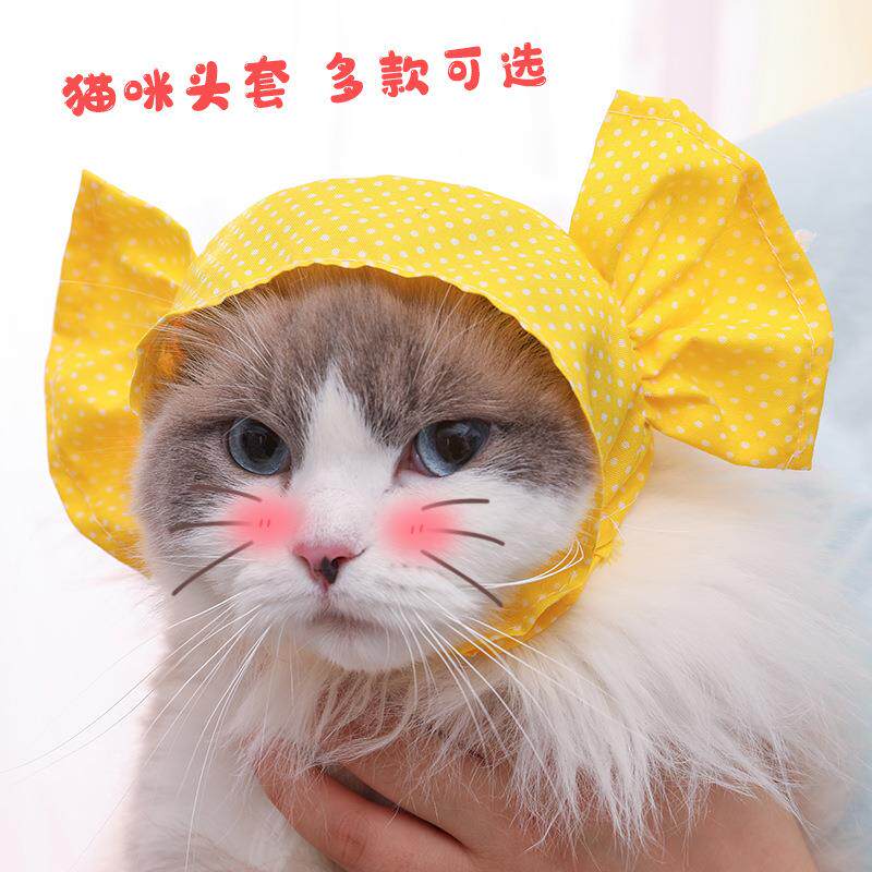 包邮猫咪ins物用品卡通小猫可爱宠物帽子头套迷你头饰