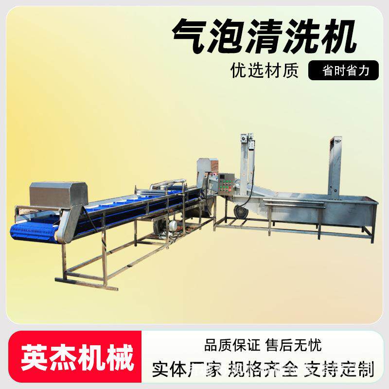 商用果蔬清洗机中药材去泥清洗设备高压喷淋式气泡清洗机