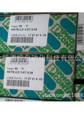 监视继电器-EMD-FL-V-300-2866048