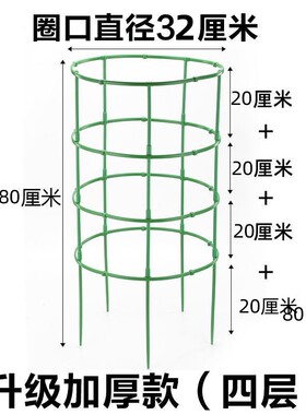 花架子火龙果太阳花月季绿萝花盆
