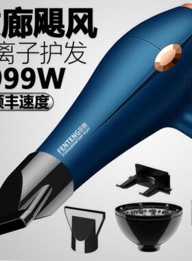 发廊专用吹风机家用理髲店大功率负离子护发大风力速干冷热风筒