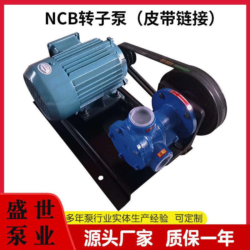NCB3/0.3高粘度转子泵铸铁耐磨齿轮泵内啮合泵吸力好厂家