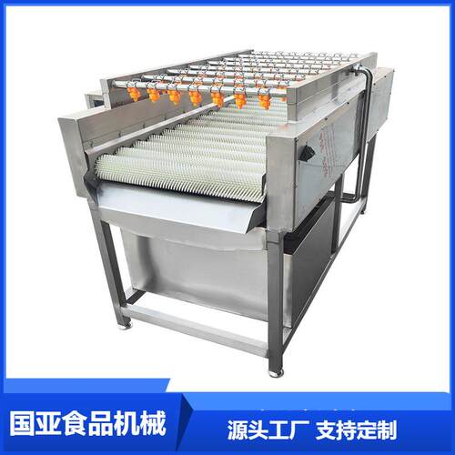 莲藕山药清洗机萝卜平行式毛辊清洗机喷淋毛辊大枣清洗机