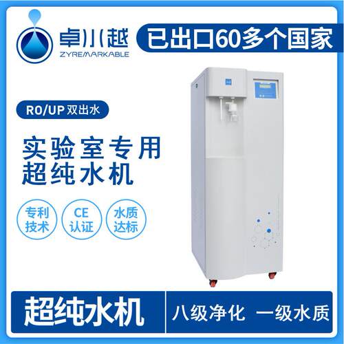 除热源型超纯水机双级反渗透型超纯水机ZYDC-II-60L/H