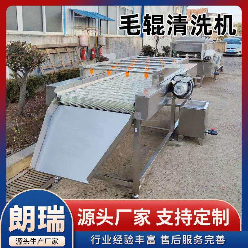 海鲜扇贝清洗机生蚝毛刷清洗设备果蔬去皮生姜大蒜毛辊清洗机