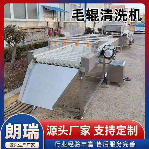 海鲜扇贝清洗机生蚝毛刷清洗设备果蔬去皮生姜大蒜毛辊清洗机