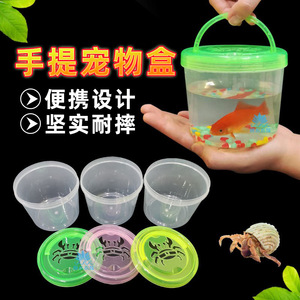 乌龟乌龟宠物捞鱼斗鱼摆摊桌面缸