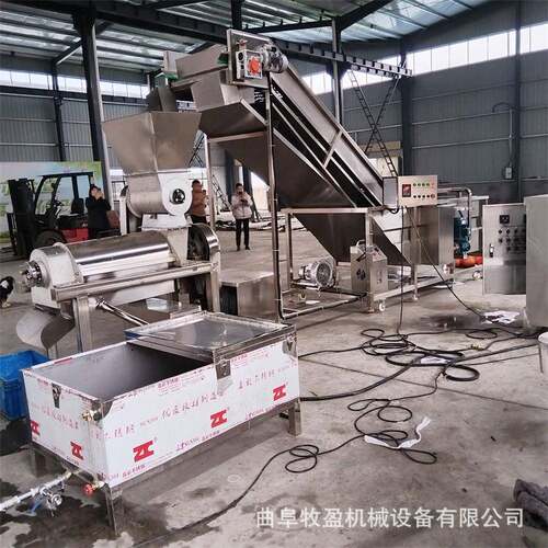 工业不锈钢余甘子榨汁机大型水果汁压榨机番茄梨生姜榨汁设备
