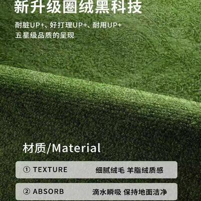 Floor Mat Entrance Doormat Floor Rug Anti-slip Door Mat