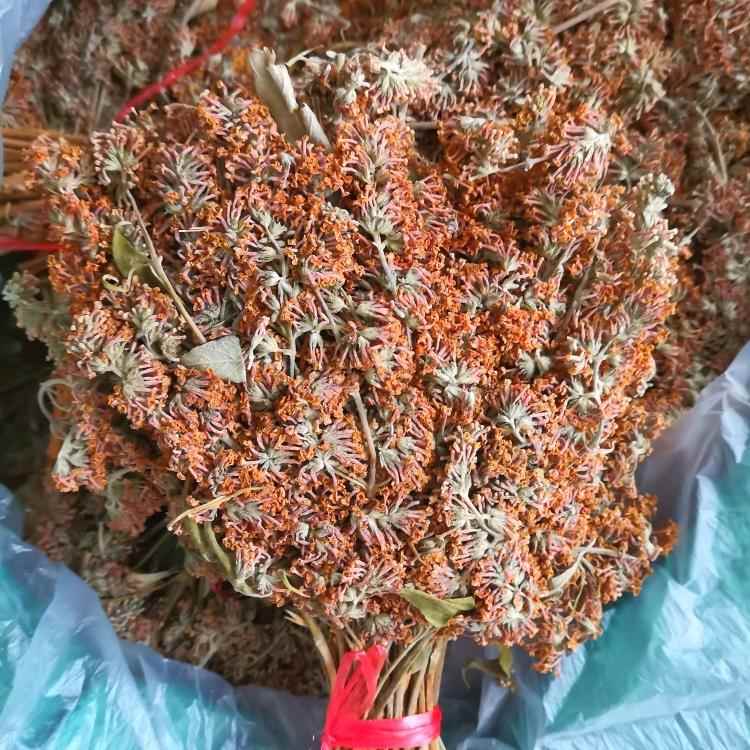 云南德宏特产染饭花五色糯米饭黄饭花天然色素密蒙花100克包邮