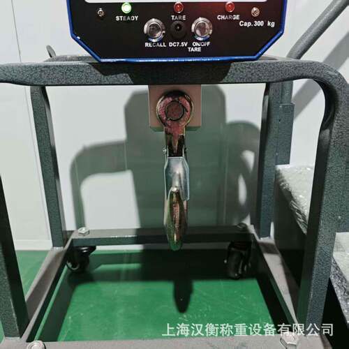 OCS-HHZS500KG无线手持打印版电子吊秤行车行吊钩秤