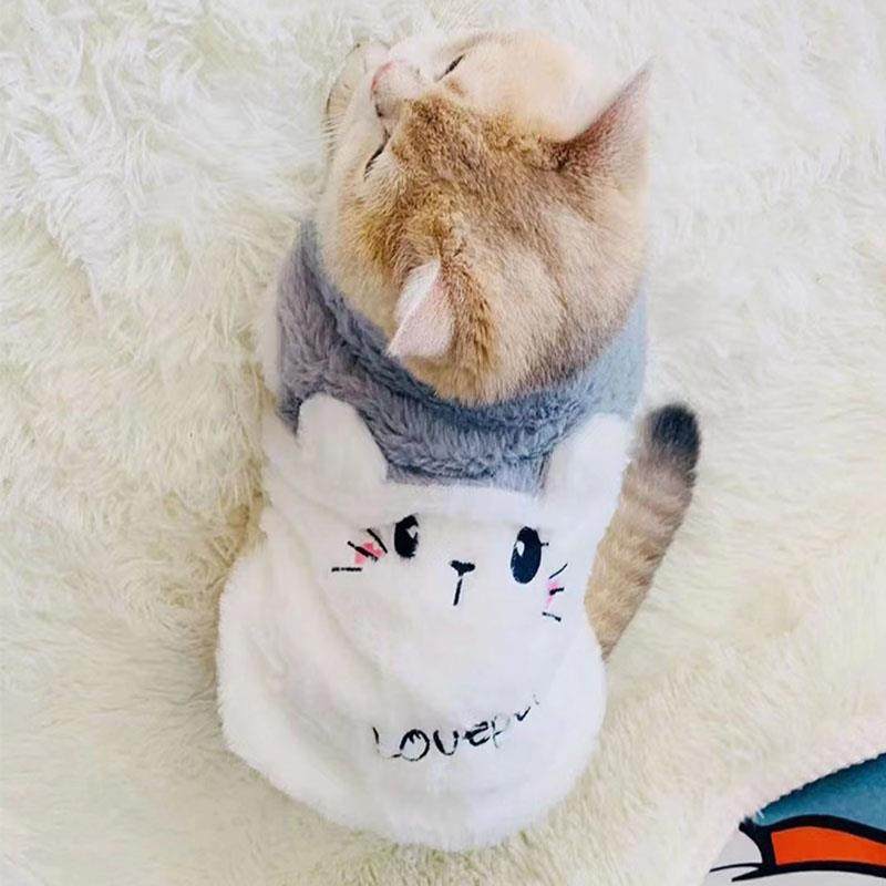小猫咪衣服秋冬季马甲可爱布偶蓝猫银渐层防掉毛宠物狗狗泰迪背心,宠物/宠物食品及用品,猫宠物服装/雨衣（新）,淘宝优惠券,粉丝福利购,淘宝优惠卷