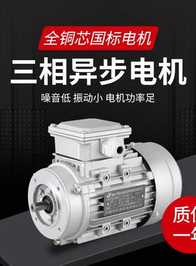 YS/YE2-63M3-4铜芯11轴0.25KW立式380V三相220V配NMRV减速机电机